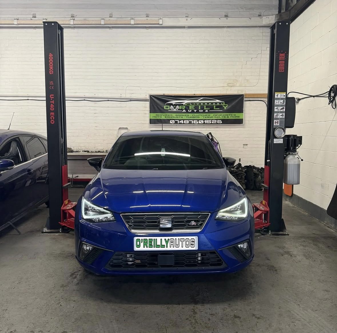 A blue SEAT on the two-post ramp in the workshop, under the O'Reilly Autos banner
